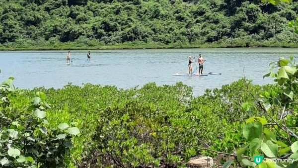 【深涌至井頭沿海輕鬆遊】榕樹澳、企嶺下老圍/新圍、瓦窰頭
