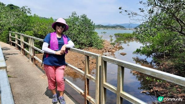 【深涌至井頭沿海輕鬆遊】榕樹澳、企嶺下老圍/新圍、瓦窰頭