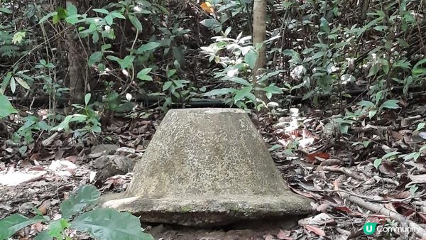 【深涌至井頭沿海輕鬆遊】榕樹澳、企嶺下老圍/新圍、瓦窰頭