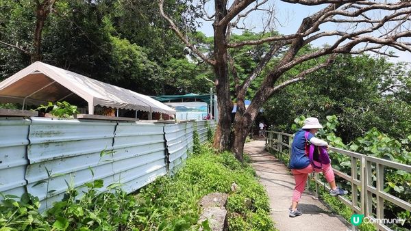 【深涌至井頭沿海輕鬆遊】榕樹澳、企嶺下老圍/新圍、瓦窰頭