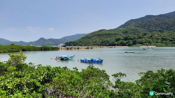 【深涌至井頭沿海輕鬆遊】榕樹澳、企嶺下老圍/新圍、瓦窰頭