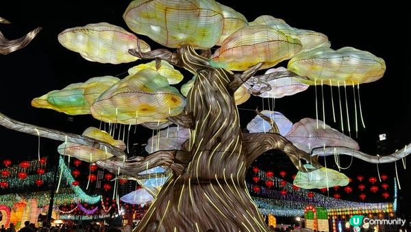 香港好去處 | 維園中秋綵燈會