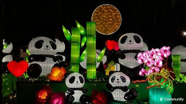 香港好去處 | 維園中秋綵燈會