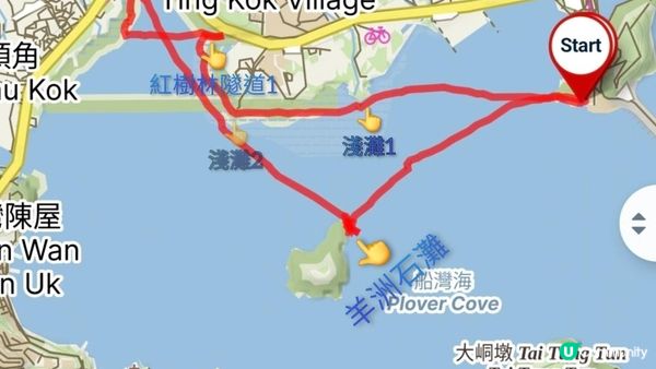 夏季獨木舟🛶玩水系列💦【大埔汀角•紅樹林】