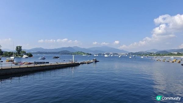 夏季獨木舟🛶玩水系列💦【大埔汀角•紅樹林】