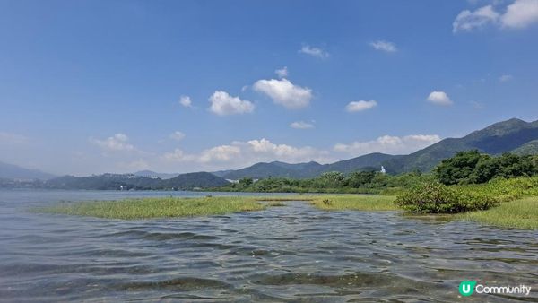 夏季獨木舟🛶玩水系列💦【大埔汀角•紅樹林】
