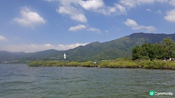 夏季獨木舟🛶玩水系列💦【大埔汀角•紅樹林】