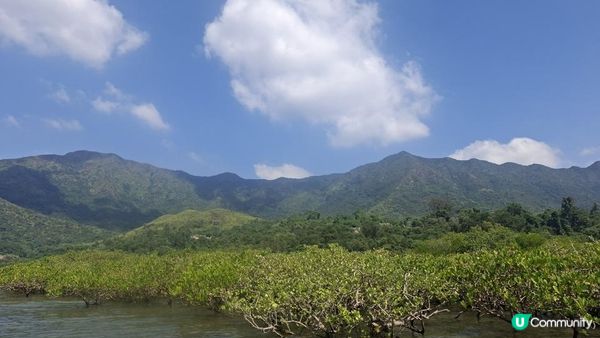 夏季獨木舟🛶玩水系列💦【大埔汀角•紅樹林】