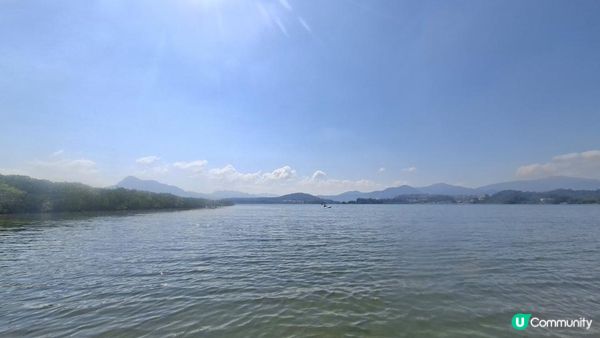 夏季獨木舟🛶玩水系列💦【大埔汀角•紅樹林】