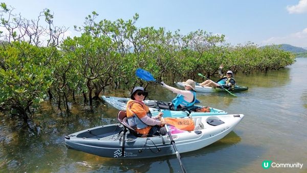夏季獨木舟🛶玩水系列💦【大埔汀角•紅樹林】