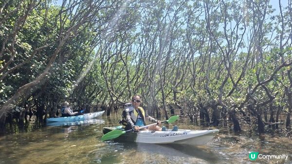 夏季獨木舟🛶玩水系列💦【大埔汀角•紅樹林】