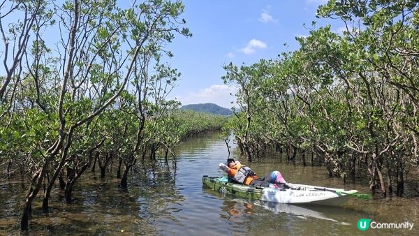 夏季獨木舟🛶玩水系列💦【大埔汀角•紅樹林】