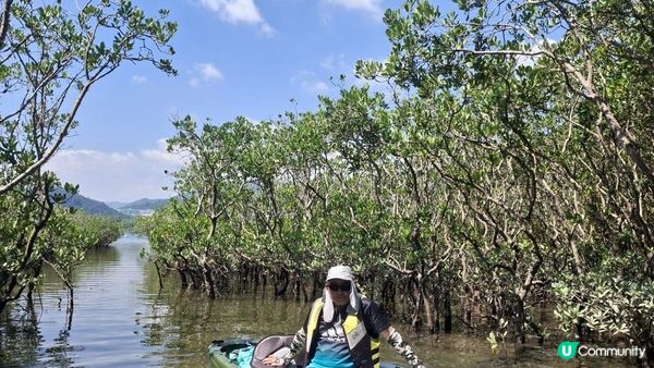夏季獨木舟🛶玩水系列💦【大埔汀角•紅樹林】