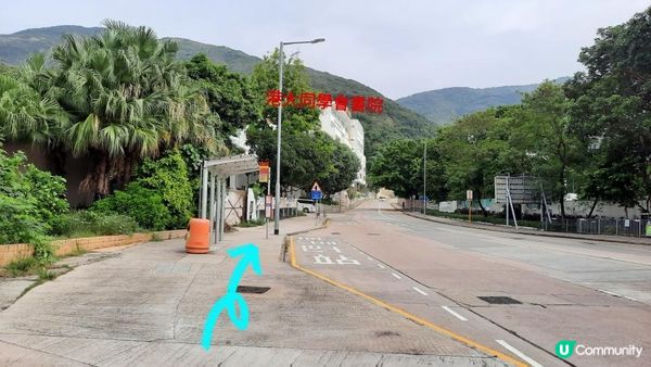 【黃竹坑至灣仔行山篇】石刻、鷹咀石、面具石🎭、聶高信山、金馬倫山