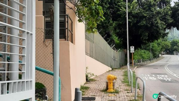 【黃竹坑至灣仔行山篇】石刻、鷹咀石、面具石🎭、聶高信山、金馬倫山