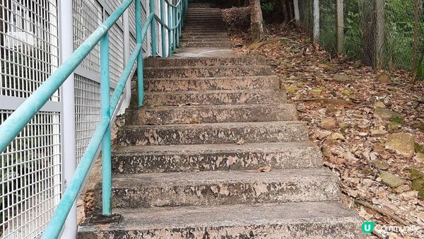【黃竹坑至灣仔行山篇】石刻、鷹咀石、面具石🎭、聶高信山、金馬倫山