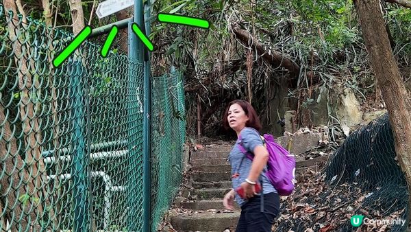 【黃竹坑至灣仔行山篇】石刻、鷹咀石、面具石🎭、聶高信山、金馬倫山