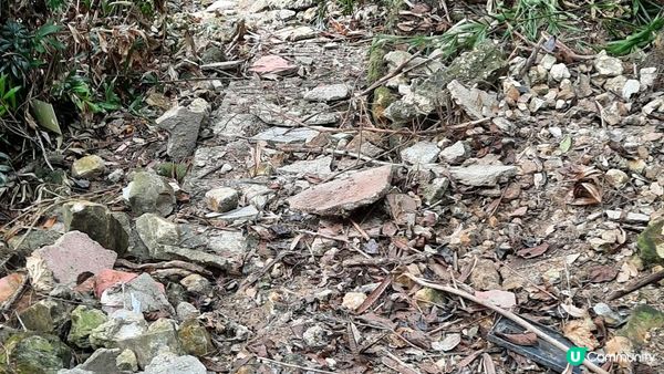【黃竹坑至灣仔行山篇】石刻、鷹咀石、面具石🎭、聶高信山、金馬倫山