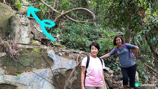 【黃竹坑至灣仔行山篇】石刻、鷹咀石、面具石🎭、聶高信山、金馬倫山