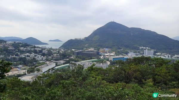 【黃竹坑至灣仔行山篇】石刻、鷹咀石、面具石🎭、聶高信山、金馬倫山