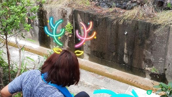 【黃竹坑至灣仔行山篇】石刻、鷹咀石、面具石🎭、聶高信山、金馬倫山