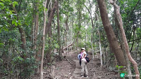 【黃竹坑至灣仔行山篇】石刻、鷹咀石、面具石🎭、聶高信山、金馬倫山
