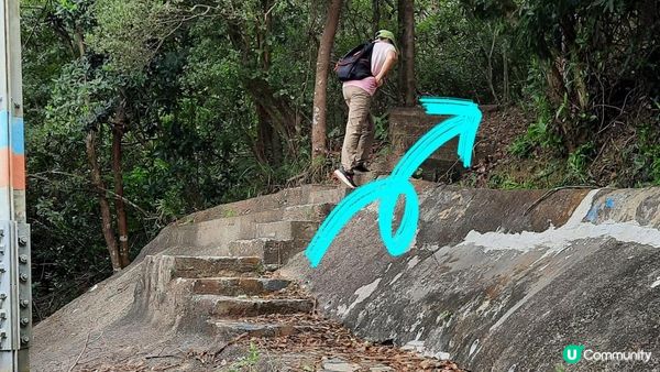【黃竹坑至灣仔行山篇】石刻、鷹咀石、面具石🎭、聶高信山、金馬倫山