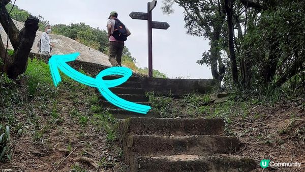 【黃竹坑至灣仔行山篇】石刻、鷹咀石、面具石🎭、聶高信山、金馬倫山