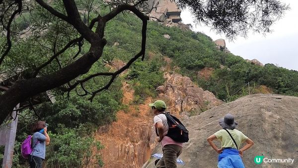 【黃竹坑至灣仔行山篇】石刻、鷹咀石、面具石🎭、聶高信山、金馬倫山