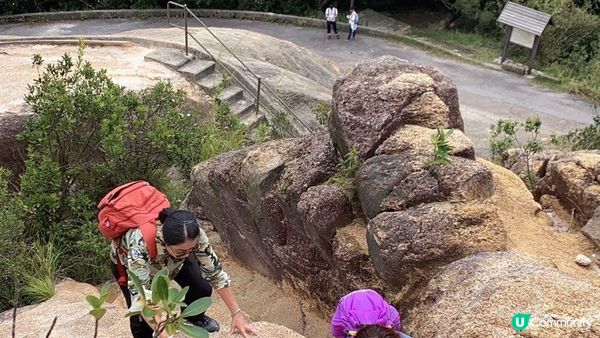 【黃竹坑至灣仔行山篇】石刻、鷹咀石、面具石🎭、聶高信山、金馬倫山