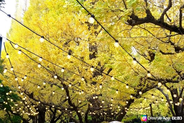 【思思賢嘆世界】東京必去旅遊景點推介2️⃣明治神宮外苑銀杏大道