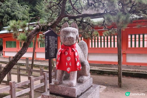 #Chill嘆酒店旅人祭  #別要再蝨眠