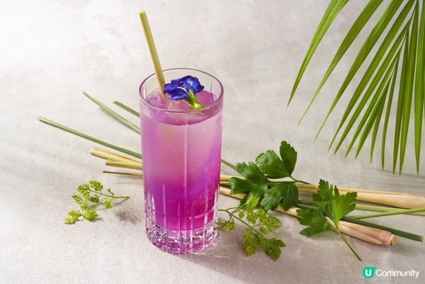 新加坡「名勝世界」異國美食推薦！東南亞第一間海底法餐、最新開幕秘魯、泰式餐廳，用味蕾環遊世界