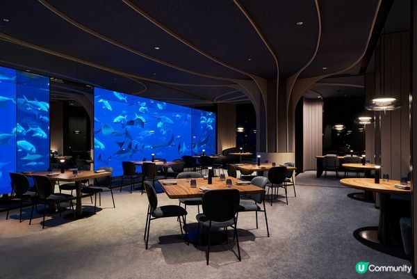 新加坡「名勝世界」異國美食推薦！東南亞第一間海底法餐、最新開幕秘魯、泰式餐廳，用味蕾環遊世界