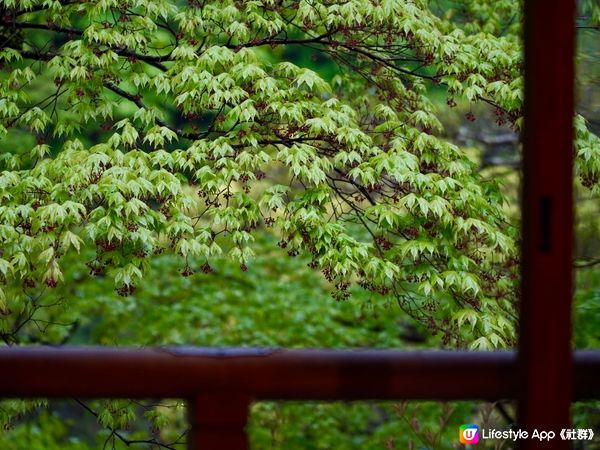 京都秘景，四季都應該要去一次