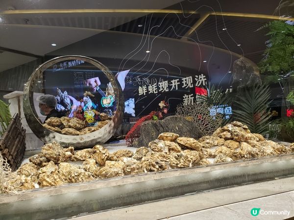 新鮮生蠔自助餐