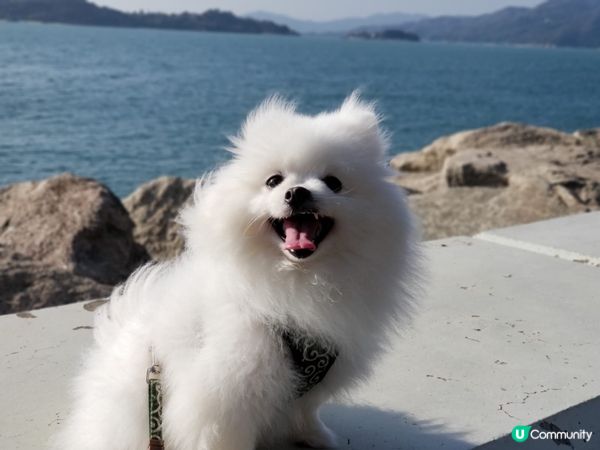 香港其中一個美麗公園～Creamie💞: 跟家人去迪欣湖好開...