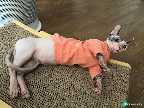 Wow~ It’s Friday!!!