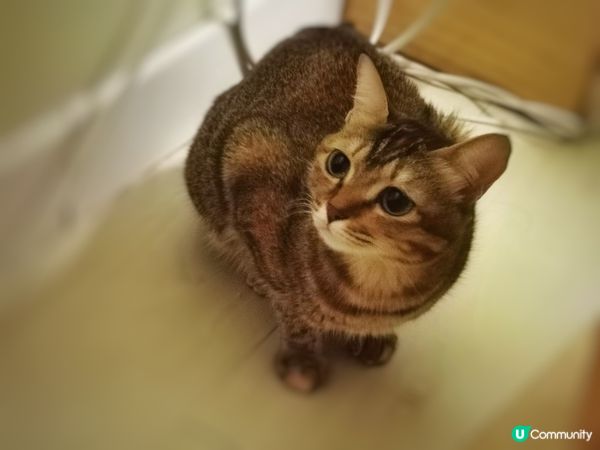 爸爸成日偷影佢最愛的小菲菲，每次開電話螢幕，都會同我講，「睇...