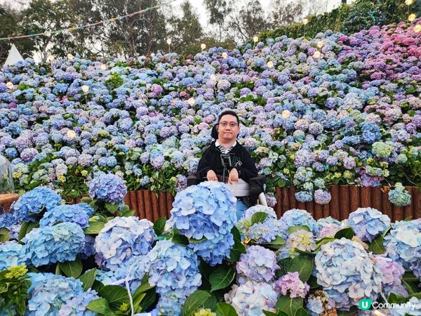 香港花卉展覽2023