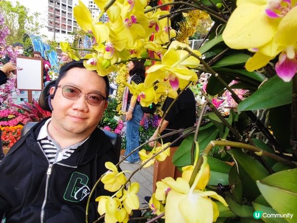 香港花卉展覽2023