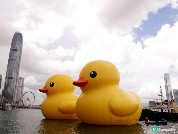 十年前買的正版小黃鴨又可以出場了