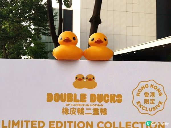 十年前買的正版小黃鴨又可以出場了