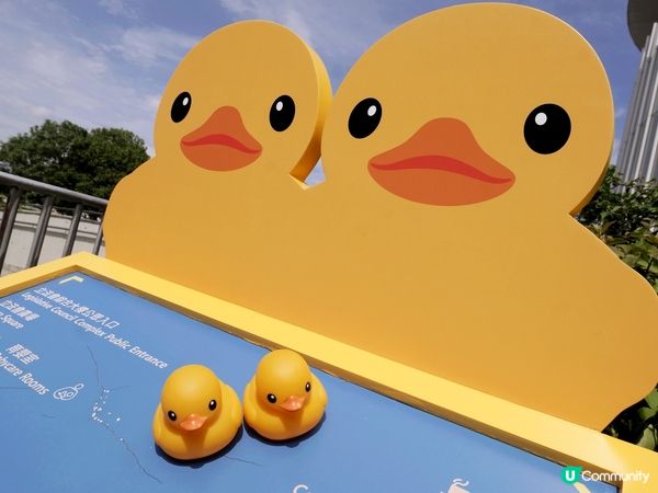 十年前買的正版小黃鴨又可以出場了