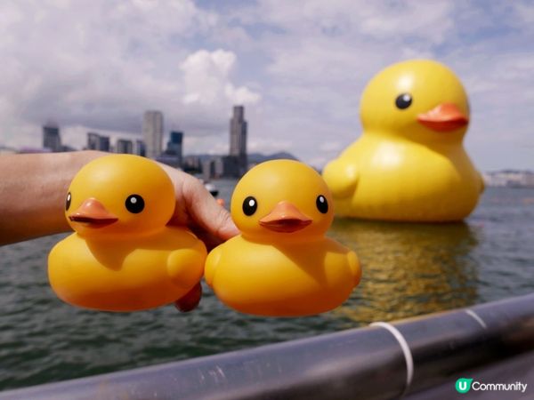 十年前買的正版小黃鴨又可以出場了