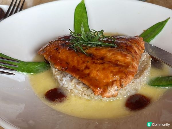 美國旅遊時，品嚐幾款特別美食，位於北美區，野牛Bison著明...