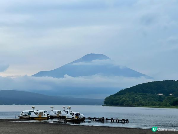 家族旅行 自駕遊去日本東京市區、近郊富士山區，正值夏天景色優...