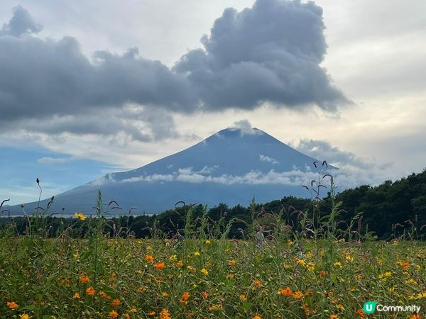 家族旅行 自駕遊去日本東京市區、近郊富士山區，正值夏天景色優...