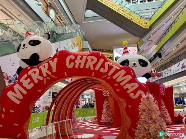 油塘大本型熊貓🐼迎接聖誕節