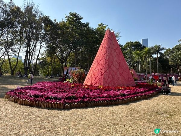 令人失望的深圳東湖公園菊花展